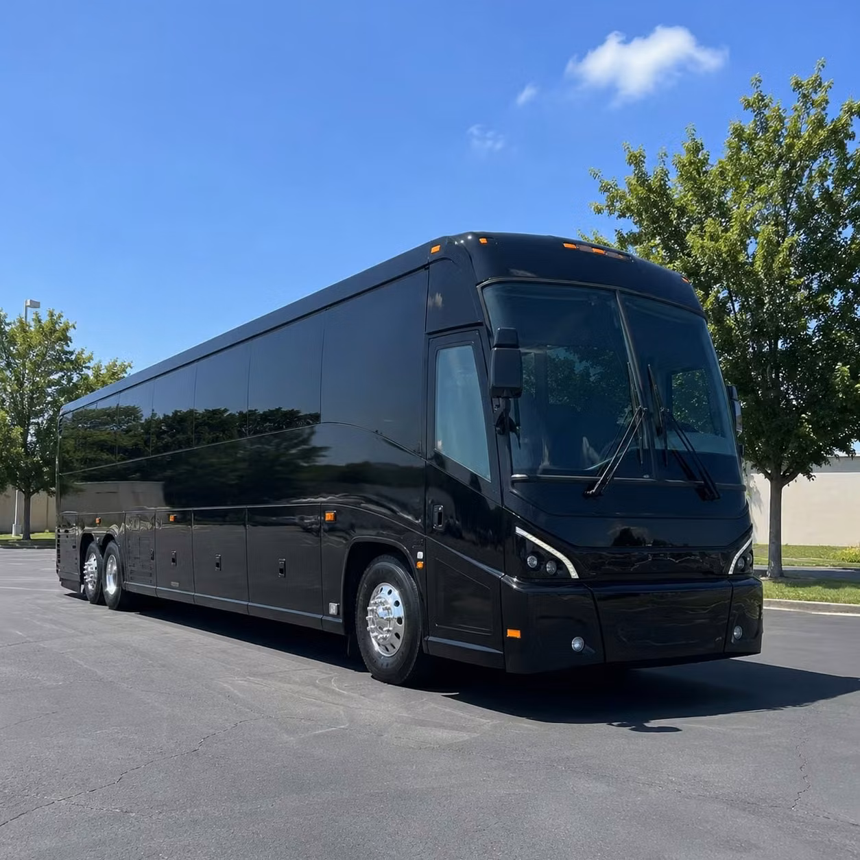 charter bus rentals for brownsville youth sports teams and travel tournaments