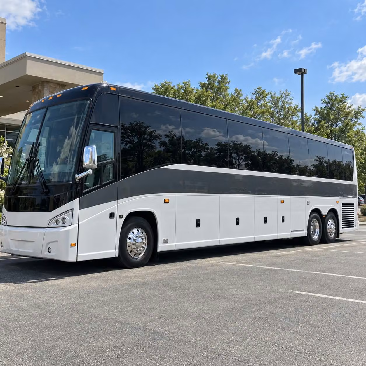 field trip buses to the brownsville museum of fine art and cultural destinations